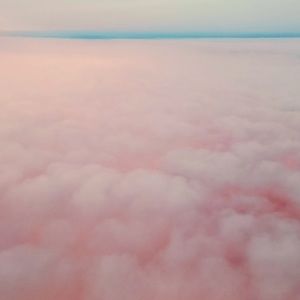 Meet your Posher, Cora